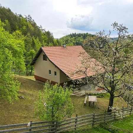 Kuca Za Odmor Karaklic 公寓